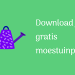 moestuinplan maken
